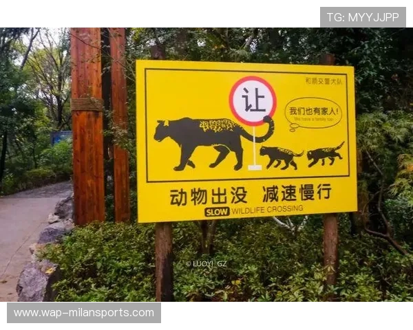 城市安全告急:野生动物频繁入侵?,野生动物频繁进城 城市安全告急:野生动物频繁入侵?,野生动物频繁进城