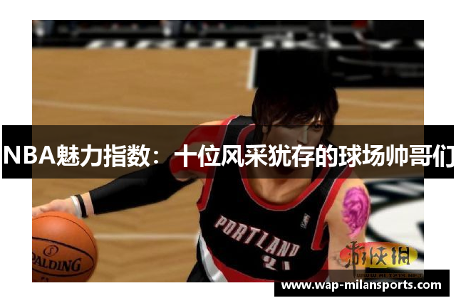 NBA魅力指数：十位风采犹存的球场帅哥们