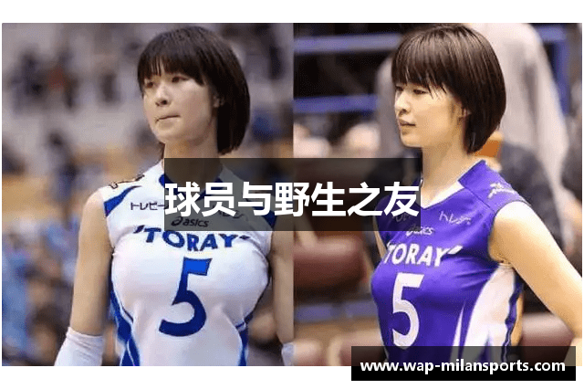 球员与野生之友
