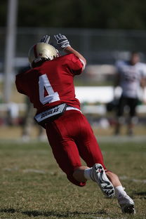 米兰全站APP下载-五大联赛体能瓶颈期球队是否更偏好长传进攻，体育瓶颈期是啥意思